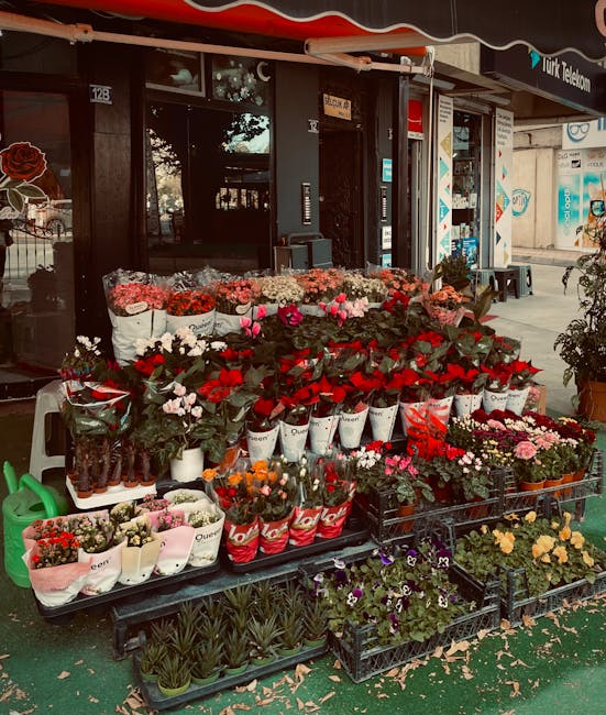 An outdoor floral display in front of a shop on Tulse Hill, showcasing an array of fresh flower arrangements. The display includes bouquets of red roses, pink and white carnations, and mixed seasonal 