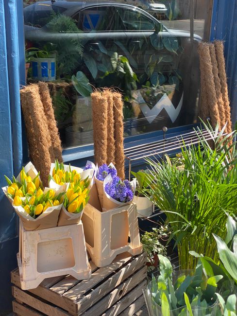 An outdoor display of fresh flower arrangements at a florist shop on Croxted Road, featuring bouquets of yellow tulips and purple violet flowers wrapped in light brown paper. The flowers are arranged