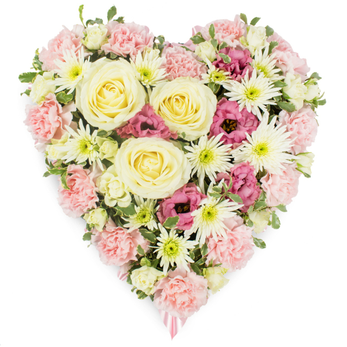 A lush, heart-shaped sympathy tribute is displayed against a spotless white background, every petal clearly defined as though the piece has just been arranged in a calm Tulse Hill workshop. The heart is built from a harmonious blend of colours: soft pastel pinks, creamy whites, pale lemon tones, and deeper fuchsia accents that together create a balanced, gentle presence. At the centre, several large creamy-yellow roses open in elegant spirals, their symmetrical petals drawing the eye and symbolising both admiration and enduring love. Encircling these roses, a profusion of delicate pale pink carnations forms the main body and outline of the heart, their ruffled petals overlapping like layers of fabric, giving the arrangement a plush, comforting texture. Interwoven through this base are pure white spider chrysanthemums, each blossom composed of slender petals that radiate from fresh greenish-yellow centres, adding intricate detail and a crisp brightness that lifts the entire piece. Deeper fuchsia or burgundy-pink lisianthus blooms nestle among the paler blossoms, their bell-like shapes and ruffled edges introducing depth and a more intense emotional note, like a quiet, heartfelt conversation held after a service on nearby Streatham Hill. Small touches of fresh green foliage and tiny pale buds emerge between the flowers, enhancing the sense of natural abundance and recent, careful craftsmanship. At the lowest point of the heart, the tip is subtly accented by a glimpse of soft pink ribbon, hinting at a personal message or dedication. This floral heart would sit with grace beside a casket, on a stand, or at a memorial table anywhere in Tulse Hill, offering a visual expression of comfort, remembrance, and profound affection.