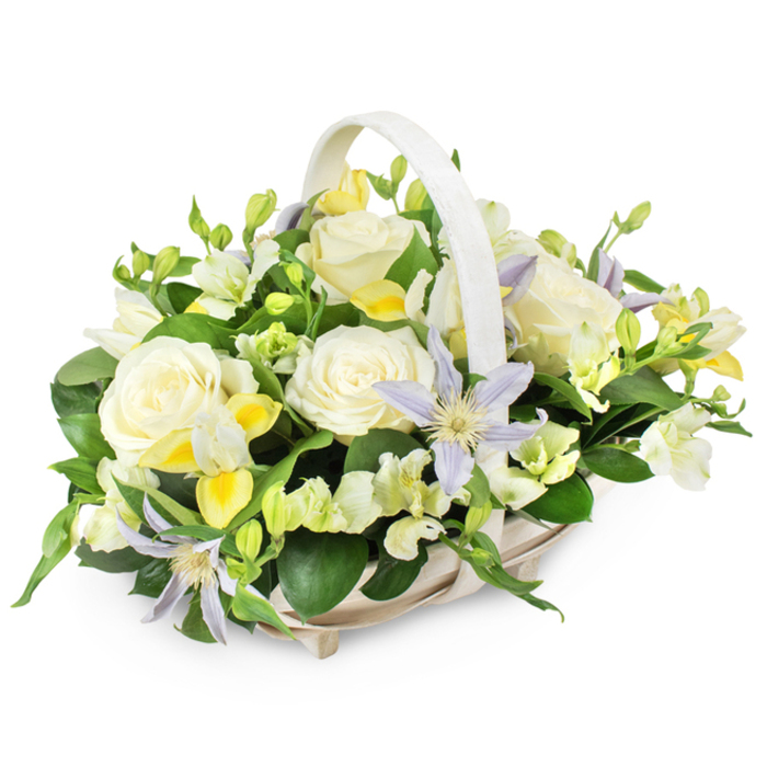 This image shows a beautifully balanced funeral flower basket, designed with the kind of quiet sensitivity that local families in Tulse Hill often seek when saying goodbye. The basket itself is a light beige or soft white wicker, rectangular with gently rounded corners, and a matching handle that arches over the flowers in a graceful curve. Its neutral tone and simple weave lend a natural, comforting feel, like something lovingly carried from a peaceful garden. Inside, the flowers form a lush, rounded mound, carefully layered so that no space feels empty or crowded. Large, fully open roses in creamy white take center stage, their petals thick and velvety, folding inwards toward soft, glowing hearts that speak of purity, remembrance, and unconditional love. Nestled between these roses are starry clematis blooms in shades of pale lavender and light periwinkle, each one with a striking yellow-green center that catches the eye, adding a hint of gentle colour and a touch of the unexpected, like a pale evening sky over the rooftops near Tulse Hill station. Around these feature flowers cluster smaller white and pale yellow blossoms-freesia-like in their form-some still in bud, others just starting to open, bringing subtle perfume and delicate texture. Their slender stems weave in and out, giving the design movement and life. The whole arrangement is framed by generous, glossy dark green leaves and lighter sprigs of greenery, creating depth and contrast, and emphasising the freshness of every stem. The overall mood is serene and consoling, well-suited for a funeral service, a memorial table, or a sympathy delivery to a home in Tulse Hill, where the flowers can offer a soft, enduring message of comfort and respect.