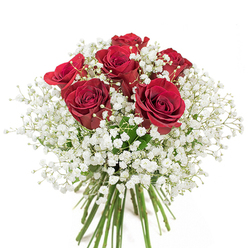 As someone who carefully crafts arrangements for the Tulse Hill community, I take special pride in assembling bouquets like this: an elegant fusion of deep red roses and whimsical sprays of white baby's breath, arranged in a sparkling glass vase. Each rose is chosen for its richness-petals fully unfurled, boasting velvety depth and a lustrous, almost velvet-like sheen. Intertwined between the blooms, the baby's breath unfurls in soft, gentle clouds, brightening and adding delicate texture much like a tranquil morning fog lingering along Dulwich Road. The bouquet's design is intentionally lush and gently domed, compact but never static, conveying both graceful movement and heartfelt sentiment. The clear vase reveals every detail beneath the surface-long, verdant stems aligning in crisp verticals, rooted in crystal-clear water-testament to the freshness synonymous with flowers sourced from Tulse Hill's best gardens and local suppliers. Whether destined for an anniversary on the avenues near Streatham Hill or a quiet moment at home, this composition brings a touch of romance, tranquility, and local artistry into every recipient's hands, celebrating the language of love with every blossom and breath.