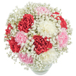 There is a gentle poetry in this arrangement, evocative of quiet mornings along Tulse Hill's tree-lined avenues. Gathered in a round, transparent vase, the bouquet features plush carnations in passionate red, tender blush pink, and luminous white, their petals layered and frilled like delicate silk. They are softly cradled by an abundance of white baby's breath, which trails dreamily through the blossoms, lending the bouquet a soft halo effect much like morning mist over Brockwell Park. Caught in bright, natural light, the carnations' hues become vivid and expressive, while the Gypsophila's airy clusters offer a sense of weightlessness and calm. The scene is further enriched by glimpses of verdant stems and water at the base, anchoring the display with a sense of freshness that only the best of Tulse Hill's local florists can provide. This bouquet is made for moments of heartfelt affection or joyous celebration-perfect for birthdays, anniversaries, or sharing gratitude with neighbours and loved ones in SE24. The overall effect is one of uplifting beauty and warmth-a classic, timeless emblem of appreciation handcrafted in the spirit of the Tulse Hill community.