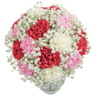 This harmonious bouquet throws together plush carnations of radiant red, creamy white, and soft blush pink, their layered, ruffled petals forming a luxuriously textured dome that immediately lifts the mood of any Tulse Hill space. Circling the core flowers, Baby's Breath drifts in delicate clouds, its tiny white blooms catching the natural light, much like the glimmer of morning dew on gardens near West Dulwich. The glass vase supporting this vibrant display hints at clarity and enduring elegance, grounding the airy composition above. Each carnation is nestled to perfection, inviting the viewer to imagine their gentle touch and the unmistakable, subtly spicy fragrance that marks a freshly prepared bouquet. Whether sent for a birthday, to celebrate a milestone, or to brighten a home nestled near the Tulse Hill triangle, this floral design embodies warmth and sincere celebration. The experience of this bouquet reflects the deep-rooted skill and heart local florists pour into their craft, ensuring every delivery across Tulse Hill spreads joy, affection, and a sense of beauty that is both fleeting and timeless.