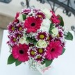 A joyous, vibrant array of flowers comes alive in this Tulse Hill bouquet, blending playful sophistication with heartfelt warmth. Hot pink Gerbera daisies shine at the core, their petals forming bold, sun-like rays that draw focus and uplift spirits. Surrounding them, clusters of magenta-and-white chrysanthemums flash their starburst petals, accented by vivid green centres, conjuring images of festive fireworks that echo the lively local spirit. The addition of cream-white roses imparts a luxurious softness, their spiralled petals melting gently into the surrounding blooms. Lacing between, airy sprays of baby's breath create a dreamy veil, lightening the composition with a sense of movement, much like the gentle pace of a Sunday stroll through local parks. The lush, dark green foliage beneath ties the colours together and amplifies their brightness, all set atop a brilliant white surface that magnifies every shade. In the blurred background, hints of classic ironwork evoke the charm of Tulse Hill's historic terraces. A white tag in the corner offers a note of personal care, suggesting the arrangement's role as a celebratory gift-be it for a birthday, anniversary, or simple thank-you. Each floral detail, arranged by a local expert, speaks of brightness and exuberance, promising to deliver a touch of spring to any setting from West Dulwich to West Norwood.