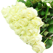 white_roses2.jpg